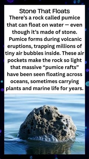 This Rock Floats on Water! 🪨😱 - Truth That Hurts