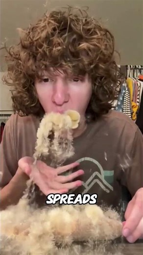 WARNING Don’t Eat This! It’s a Cattail Prank That Causes Choking!