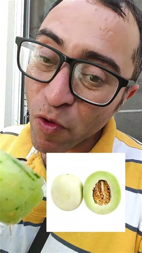 Dinosaur melon #melon #fruits #fruitsstories #tastingfruits #fruit #melons #dinosaurmelon