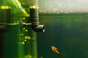 Aquarium Pumps: The Complete Review Of The Best Aquarium Pumps