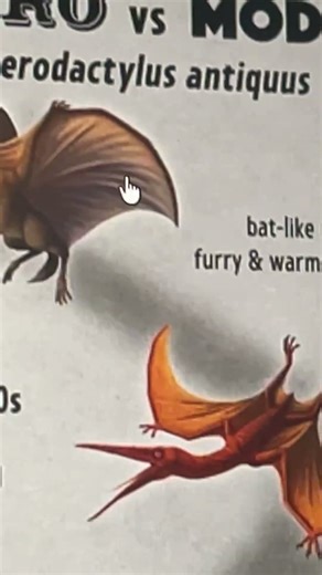 Evolution of Pterodactylus 🐥