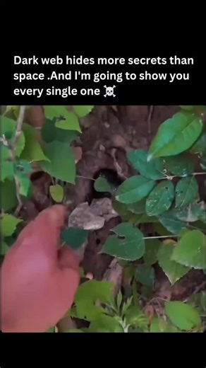 Dark Web Videos on Instagram: "Just @dar.kwebpulse 日本利用压电瓷砖将人们的脚步转化为电能。 这些瓷砖能够捕捉你脚步产生的动能。 当你行走时，你的体重和动作会对瓷砖产生压力。 瓷砖会轻微弯曲，产生机械应力。 瓷砖内部的压电材料会将这种应力转化为电能。 每一步都会产生少量电荷，数百万步加在一起，就能产生足够的电力来驱动 LED 灯、数字显示屏和传感器。 在像涩谷车站这样人流密集的地方，每天大约 240 万步都在为这个系统做贡献。 这些电力可以储存起来或立即使用，从而减少对传统能源的依赖，并支持可持续的城市基础设施。 这种方法把日常的动作转化为实用的可再生能源。 #日本 #知识 #事实 #你知道吗 #推荐 #科技 #创新 #历史 #技术 #实验 #热门"