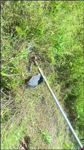 Amazing Cut and Trimming #shorts #grass #trimming
