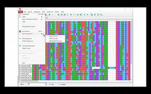 「MEGA X」将获取的DNA序列或protein序列保存 MEGA X Choosing and Acquiring Sequences Part 2