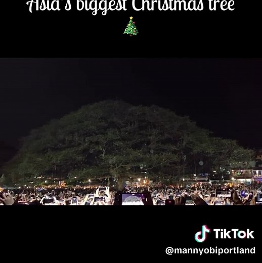 Experience Divine Christmas Vibes at Fort Kochi