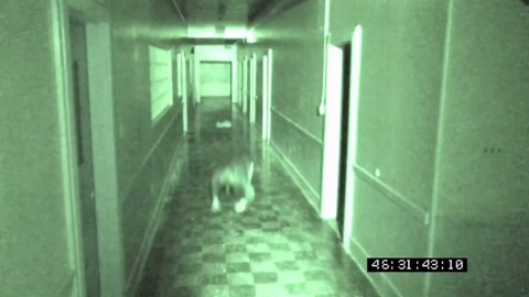 The 9 Scariest Found Footage Horror Movies