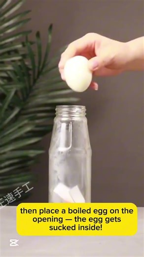 ✨ Science or Magic? Mind-Blowing Experiments You Can Try at Home!