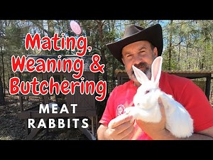 HOW TO Mate/Wean/Butcher Rabbits | Meat Rabbits 101 | Watch & Review