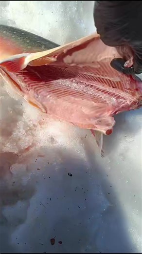 Ice Fishing Tips for a Successful Dinner