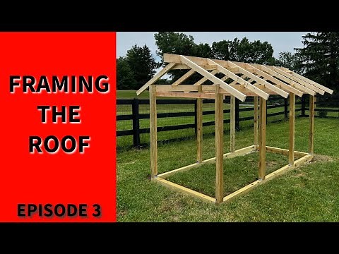 Roof Framing for Chicken Coop - DIY Tutorial