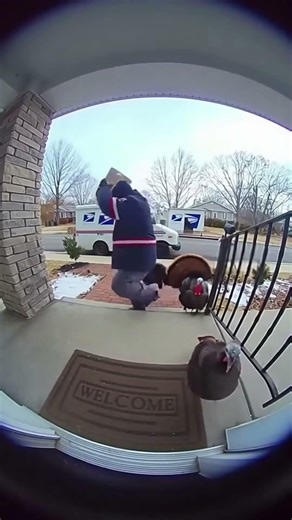 A simple offering transforms the entire outlook