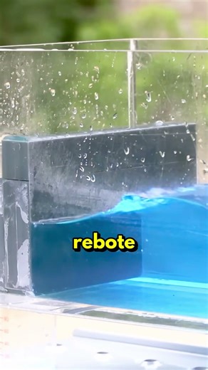 Este EXPERIMENTO muetras las FUERZAS de las OLAS...
