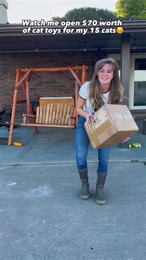 Crazy cat lady and proud🥰🤦‍♀️ #cats #kitties #farmlife #barn #catsanctuary #kitty #babies #barncat | Bee Farmer