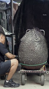 Venture behind the scenes of @AlienEarthFX in this exclusive look with cast member Diêm Camille (Siberian). | Nerdist