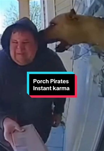 Porch Pirates get instant Karma from dog attack. Funny porch Thief incident. Porch Thieves caught Fafo. #funny #comedy #criminal #xyzbca #fyp