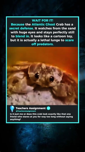 Weirdest Jump-scare by a Crab 🦀