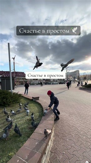 Счастье в простом 🕊️🥰 #katyakot #музыка #любовь #utube #сын #голуби #жизнь