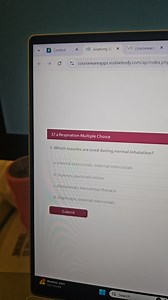 \wedgeContentAnatomy \&courseware-- coursewareapps.visibleb... | Filo
