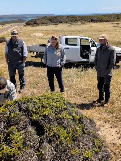 David Pocock on Reels