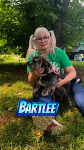 5.2K views · 143 reactions | Adopt Bartlee, a 6 yo male Schnauzer mix, thru www.RuffLoveRescue.com #ruffloverescue #pawsandponds #boost #schnauzermix | Ruff Love Rescue | Facebook