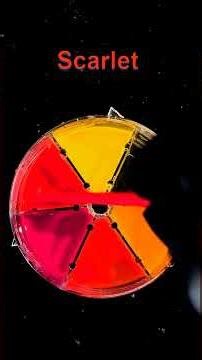 oddly satisfying red and orange color mixing #asmr #colormixing #satisfying