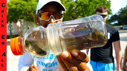 I Found Rare Exotic Fish While Trash Fishing