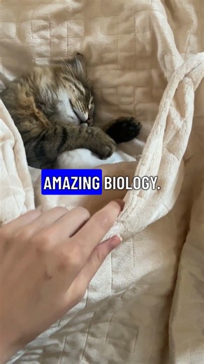 Mind-Blowing Science Facts: A World of Wonders!