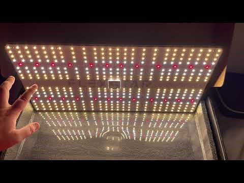 FlexStar 240w led grow light review par and spectrum test