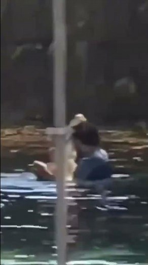 Florida man dances with alligator