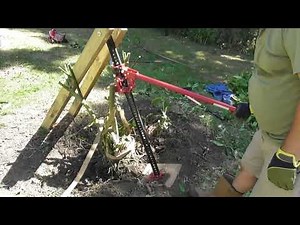 Using a Farm Jack to remove a mature shrub