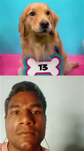 I Spent $10,000 To Find This Dog #mrbeast #viralshorts #ytshorts #trendingshorts #reaction