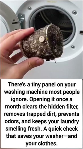 Open This Once a Month! The Secret Washer Fix #shorts #viral #trending