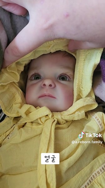 Reborn Baby Box Opening Experience