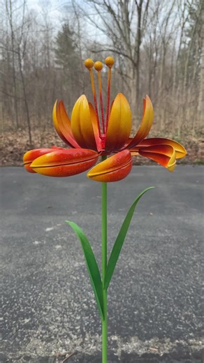 Eric Head (@ericheadphotography)’s videos with originalljud - user9283848281934