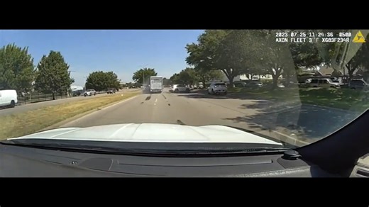 Man shot by officer, arrested after he hit police car and fired at officer