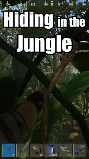 Camo is Actually Broken in Rust