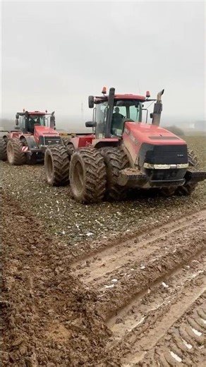 2 IH Case Steiger 550 #tractor #agriculture #case #steiger