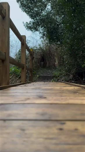 Incoming 🔥 Follow 👉 @bull.terrier.smiling 📸 Cre: @magnus_the_destroyer -------------------------------------------- ⚠️ All credits are reserved & belongs for their respective owners 💼 🙏🏻 Special thanks to the owner for created this post ❤ 📨 If there any objection from the original owner for posting this on my account, feel free to message me, I will immediately remove it, no need to send a strike 🙏🏻 . . . . . #instabullterrier #bullterrierpics #bullterrierworld #bullterrierlife #bullter