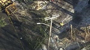 Worker shocked by electrical line in tree-cutting incident in Newton