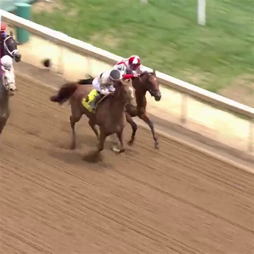 34K views · 490 reactions | 퐅퐚퐥퐥퐬 퐂퐢퐭퐲 퐩퐢퐭퐬 퐢퐧-퐟퐨퐫퐦 퐑퐞퐠퐚퐥퐞퐝, 퐑퐨퐲퐚퐥...