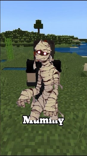 Minecraft Mummy.