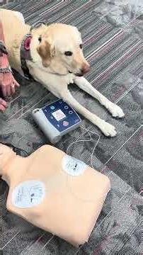 Where to find an AED and how to use it | Ohio State Medical Center