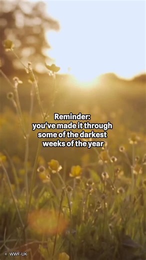 4.9K views · 437 reactions | Spring is quietly on its way.  [Video description: a variety of UK wildlife during the spring time including blooming bluebells, puffins, badgers and frogsporn. Copy reads: Reminder: you’ve made it through some of the darkest weeks of the year. Brighter days are coming…’] | WWF UK | Facebook