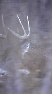 It’s official – Yee Yee X Realtree is here! 🦌 Our first-ever premium hunting jacket, along with a few other awesome items, just dropped. yeeyee.com/realtree | Yee Yee Apparel