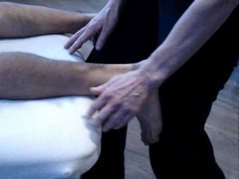 Gastrocnemius Muscle Test 1