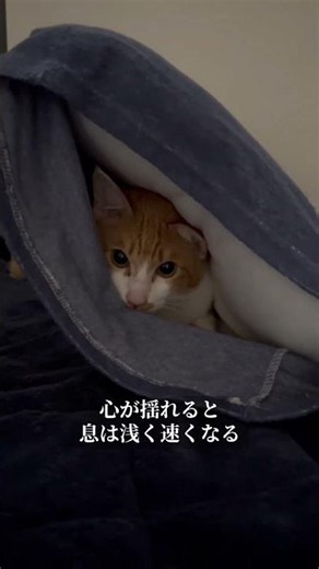 息という字|漢字が教える呼吸の整え方