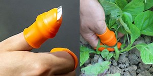 54 Best Gift Ideas for Your Favorite Gardener
