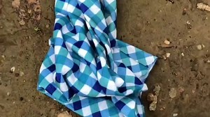 换台新车！换啥车呢