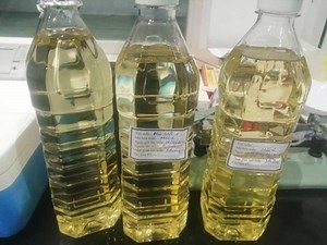 [Hot Item] Machinery for Coconut Soybean Avocado Hydraulic Screw Oil Extractor Press Machine with High Speed