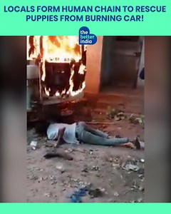 Setting an outstanding example of humanity, the rescuers risked their own lives to crawl under the blazing car and bring the helpless puppies to safety! #Respect #RealLifeHeroes | TheBetterIndia